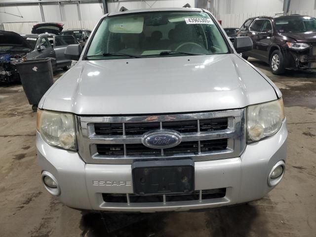 2008 Ford Escape XLT