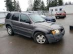 2002 Ford Escape XLT