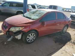 Vehiculos salvage en venta de Copart Phoenix, AZ: 2009 Toyota Corolla Base