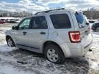 2010 Ford Escape Hybrid