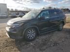 2019 Honda Pilot EXL