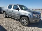 2009 Honda Ridgeline RT