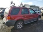 2007 Ford Escape XLT