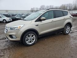 Clean Title Cars for sale at auction: 2018 Ford Escape SE