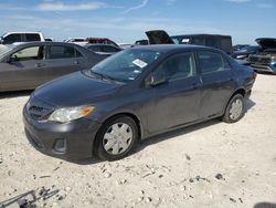 Salvage cars for sale from Copart Taylor, TX: 2011 Toyota Corolla Base