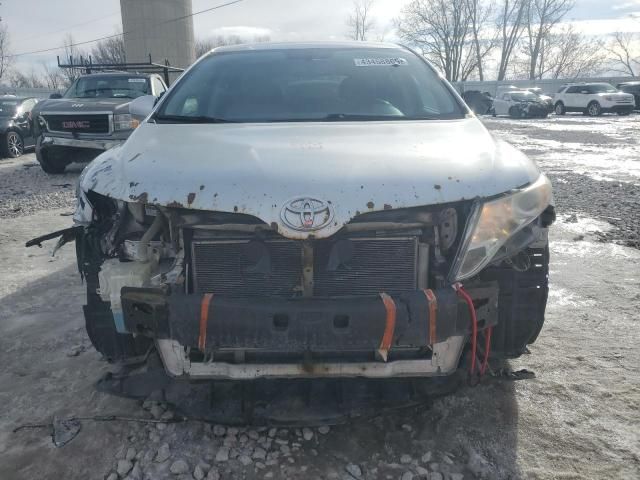 2010 Toyota Venza