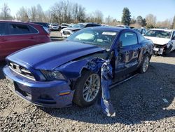 Salvage cars for sale at Portland, OR auction: 2013 Ford Mustang