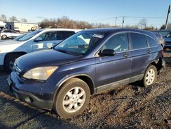 Salvage cars for sale from Copart Hillsborough, NJ: 2008 Honda CR-V EX