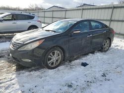 2011 Hyundai Sonata SE en venta en Albany, NY