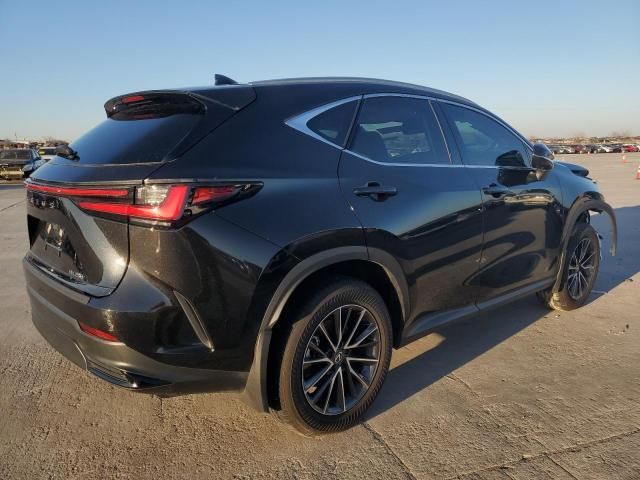 2025 Lexus NX 250 Base