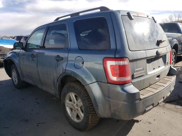 2010 Ford Escape Hybrid