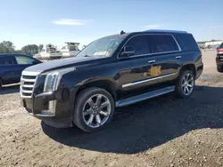 Salvage cars for sale at Lumberton, NC auction: 2015 Cadillac Escalade Luxury