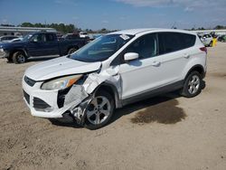 Salvage cars for sale at Harleyville, SC auction: 2014 Ford Escape SE