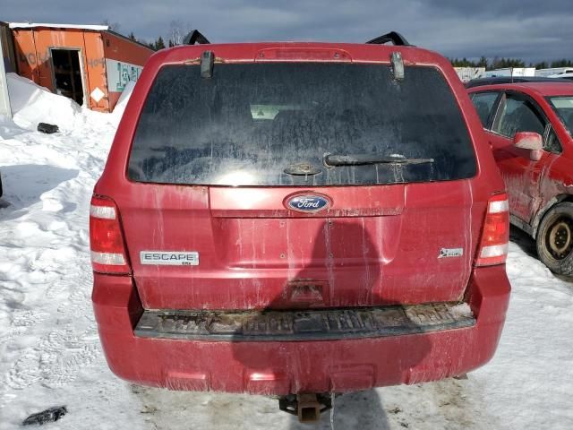 2011 Ford Escape XLT