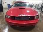 2005 Ford Mustang