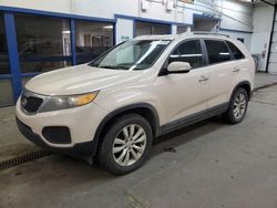 Salvage cars for sale at Pasco, WA auction: 2011 KIA Sorento Base