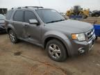 2009 Ford Escape Limited