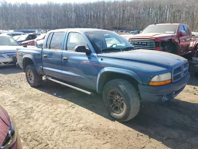 2003 Dodge Dakota Quad Sport