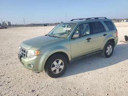 Salvage cars for sale at New Braunfels, TX auction: 2008 Ford Escape XLT