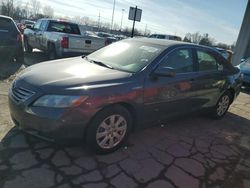 Toyota salvage cars for sale: 2007 Toyota Camry Hybrid