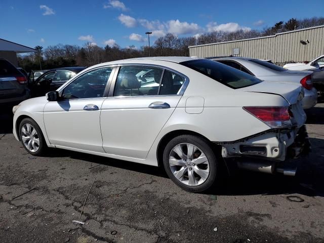 2010 Honda Accord EXL