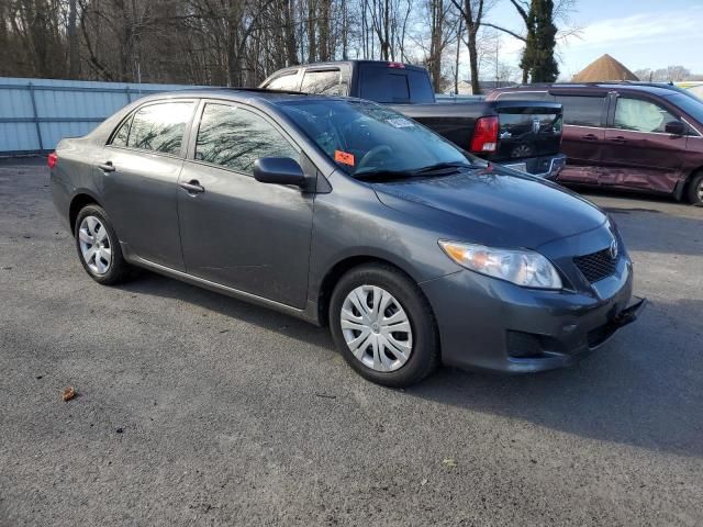 2010 Toyota Corolla Base