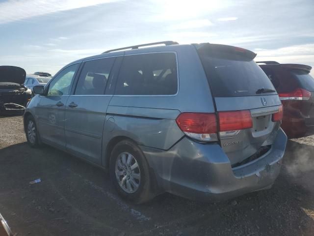 2010 Honda Odyssey EXL