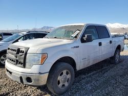 Salvage trucks for sale at Magna, UT auction: 2012 Ford F150 Supercrew