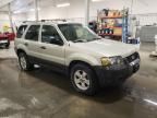 2005 Ford Escape XLT