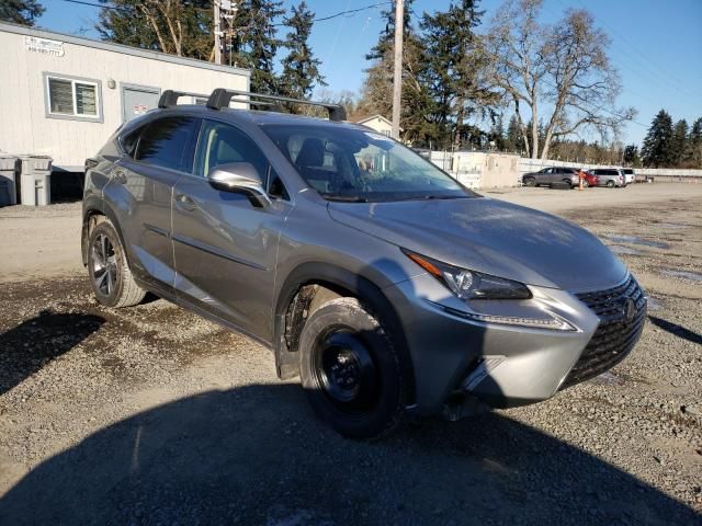 2020 Lexus NX 300H