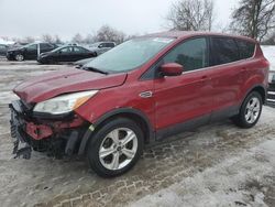 Salvage cars for sale at London, ON auction: 2014 Ford Escape SE