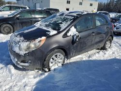 Salvage cars for sale at Cookstown, ON auction: 2013 KIA Rio LX