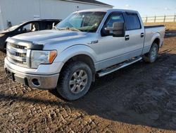 Salvage cars for sale at Portland, MI auction: 2013 Ford F150 Supercrew