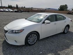 Salvage cars for sale at Mentone, CA auction: 2014 Lexus ES 350