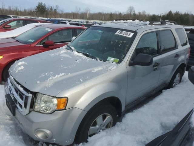 2009 Ford Escape XLT