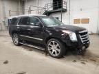 2015 Cadillac Escalade Premium