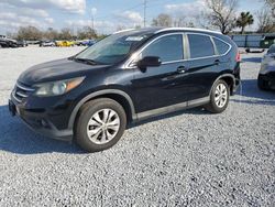 2014 Honda CR-V EXL en venta en Riverview, FL