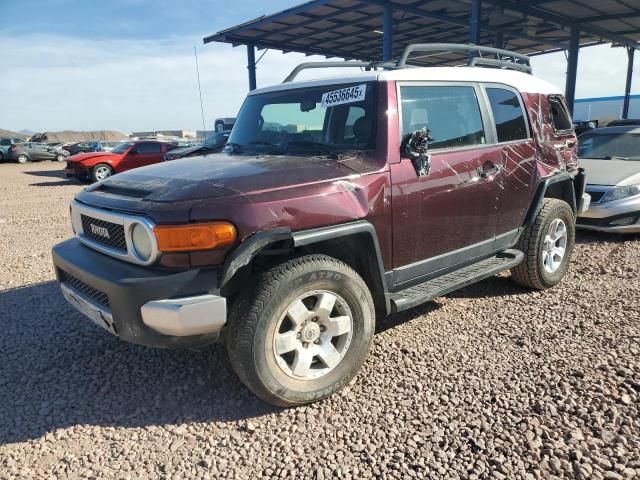 2007 Toyota FJ Cruiser