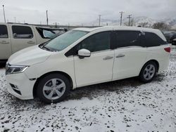 Salvage cars for sale at Magna, UT auction: 2019 Honda Odyssey EXL