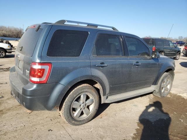 2010 Ford Escape Limited