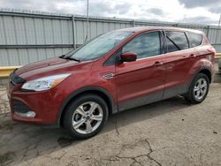 Ford Escape salvage cars for sale: 2015 Ford Escape SE