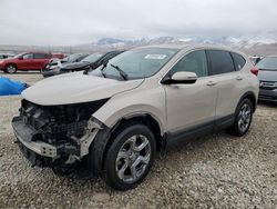 Honda salvage cars for sale: 2019 Honda CR-V EXL