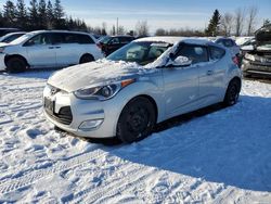 Hyundai salvage cars for sale: 2016 Hyundai Veloster