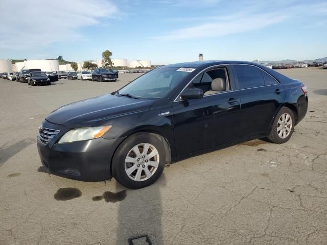 2008 Toyota Camry Hybrid