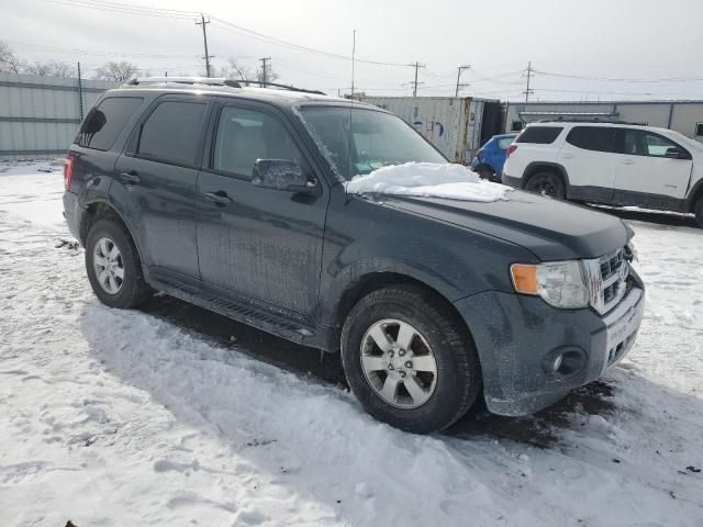 2009 Ford Escape Limited