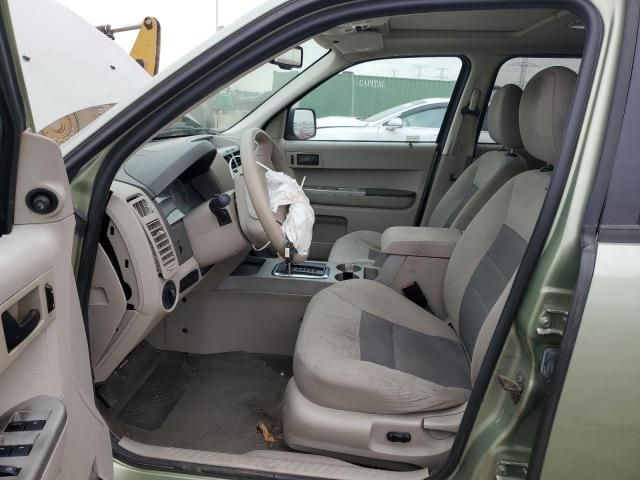 2008 Ford Escape XLT