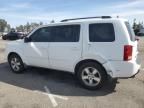 2010 Honda Pilot EXL