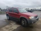 2001 Ford Escape XLT