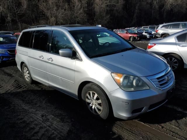 2010 Honda Odyssey EXL