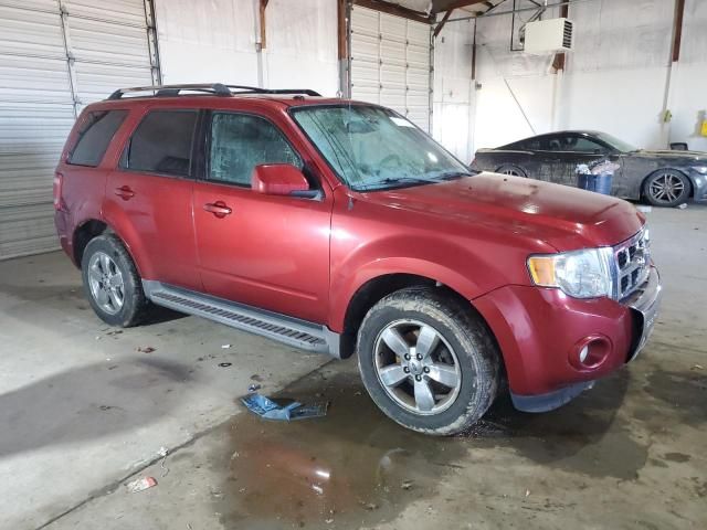 2012 Ford Escape Limited